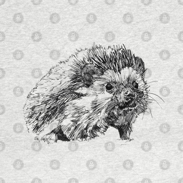 Hedgehog Ink Drawing by Fireside Press